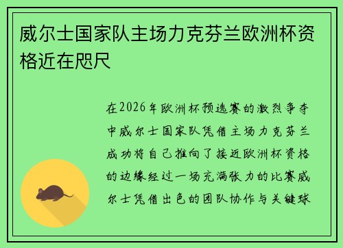 威尔士国家队主场力克芬兰欧洲杯资格近在咫尺